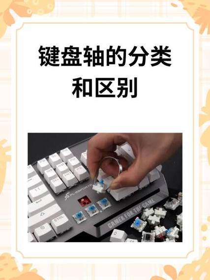 键盘有几种轴有什么区别图标