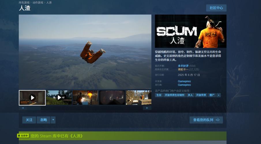 scum进不去多人模式