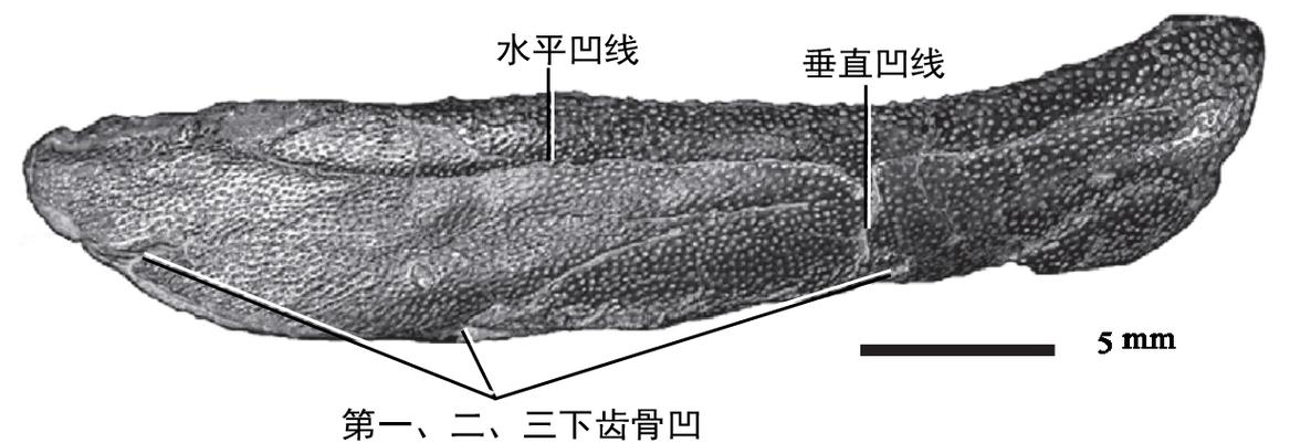 小米K70Pr0没有耳机孔