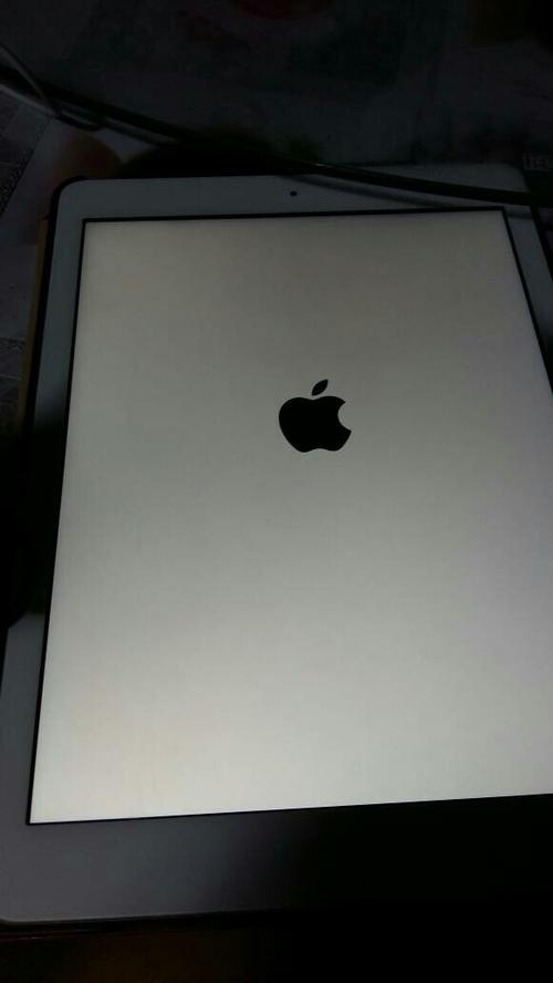 ipad突然黑屏图标一直闪图标