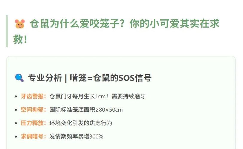 仓鼠咬笼子的原因及解决方法