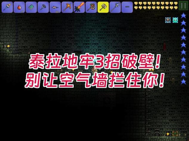 泰拉瑞亚地牢有什么