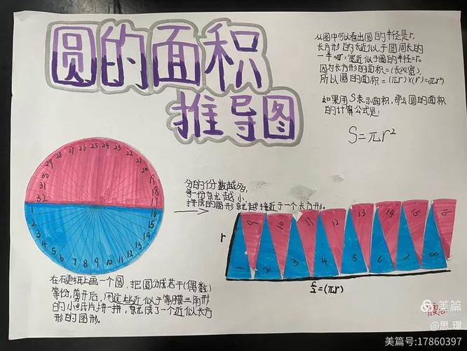 圆的面积漫画
