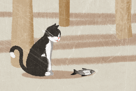 猫咪自己过夜会孤独吗