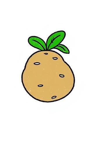 土豆铅笔画