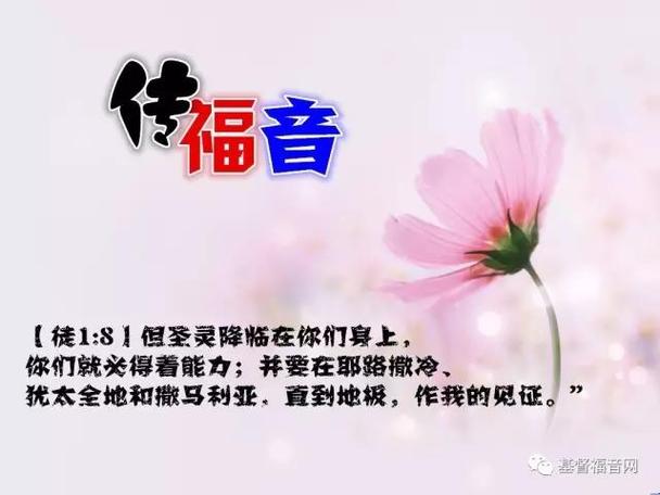 福音网