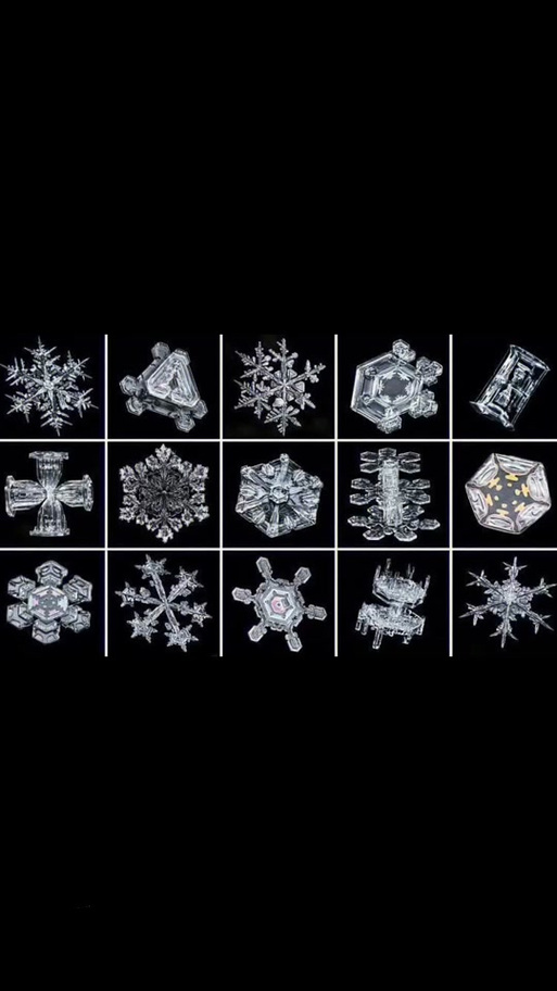有雪花特效的相机软件