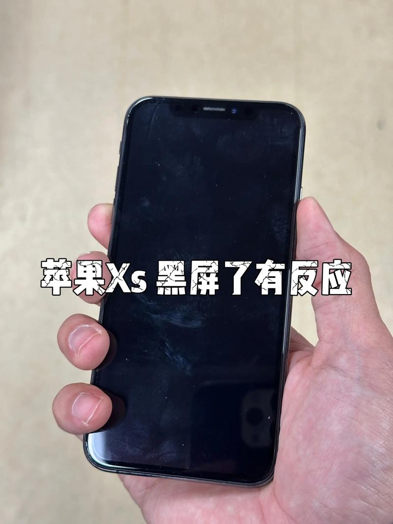 苹果x打开旁白黑屏