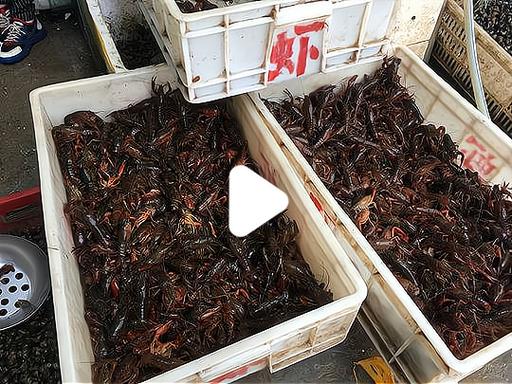 小龙虾在哪进货最便宜