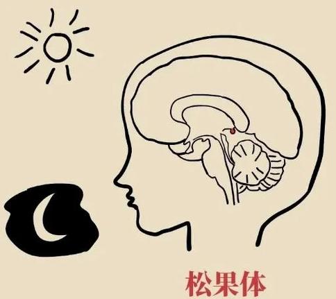 电脑睡眠模式突然亮了