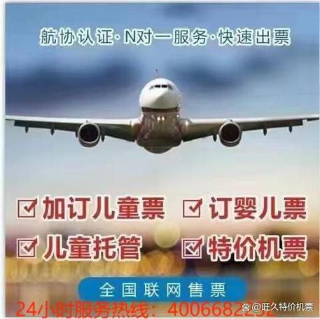 别人给买的机票在哪查