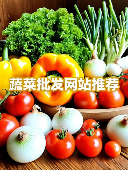 蔬菜网官方网站