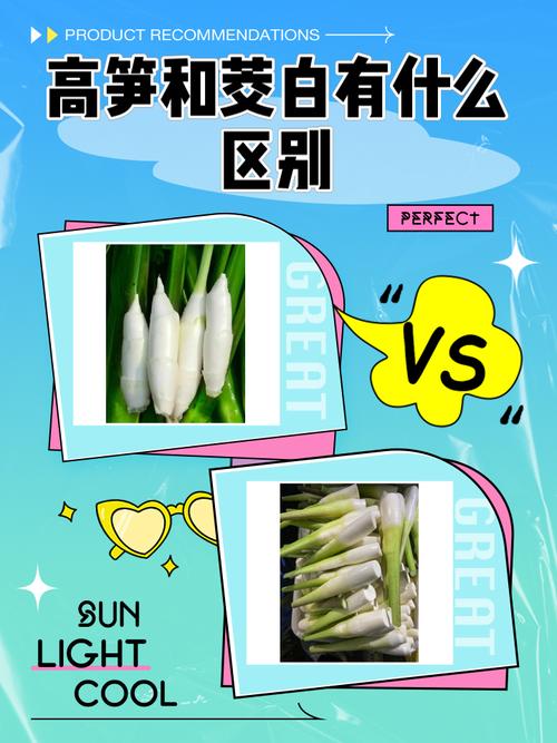 米兔6c和6X区别在哪里