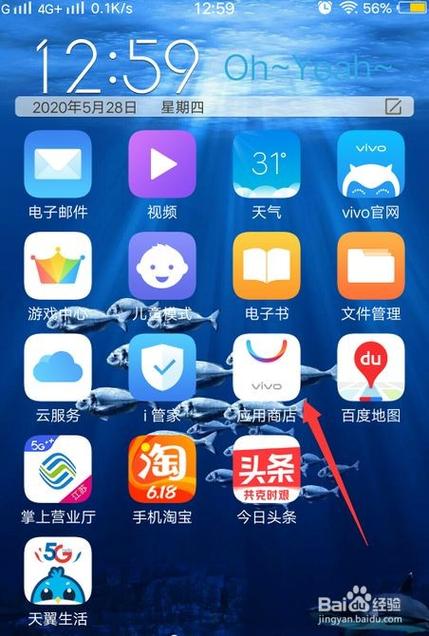 vivo手机有快应用吗