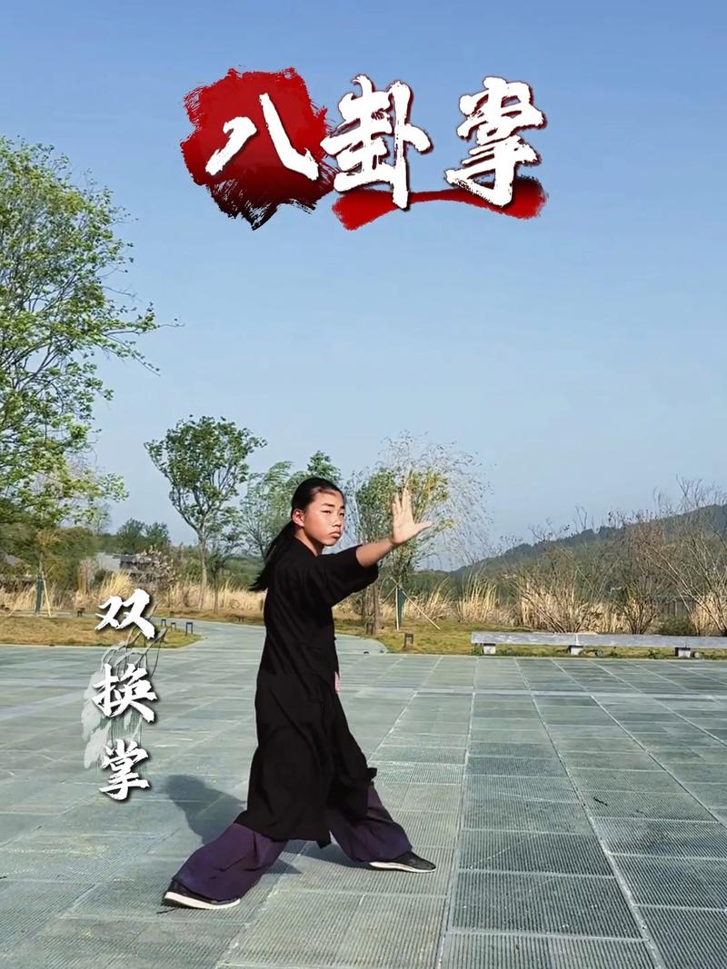 八卦掌视频演练