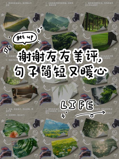好朋友的真正含义