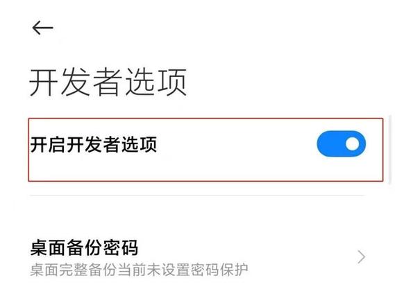 win10开发者模式有风险吗