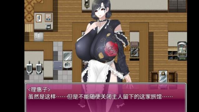 绅士游戏合集汉化组