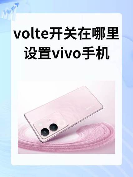 vivo手机设置volte功能教程