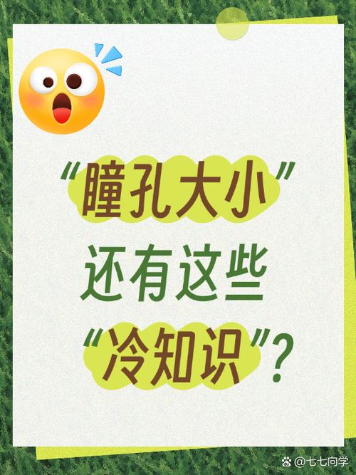 瞳孔不缩小怎么了