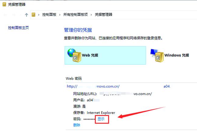 怎么查看浏览器保存的密码