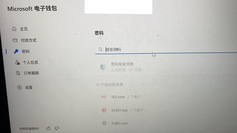 怎么查看浏览器保存的密码