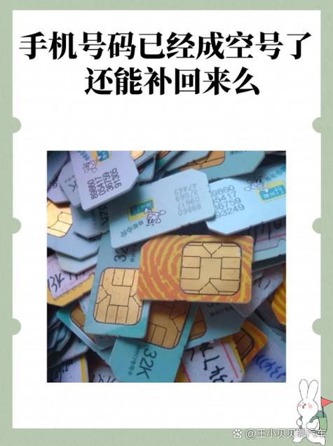 手机号停用了还能补办吗