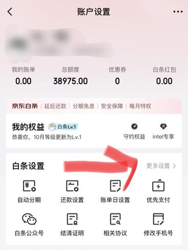 京东白条明细能删掉吗