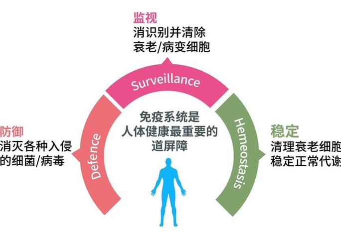 接吻交换肠道菌群好处