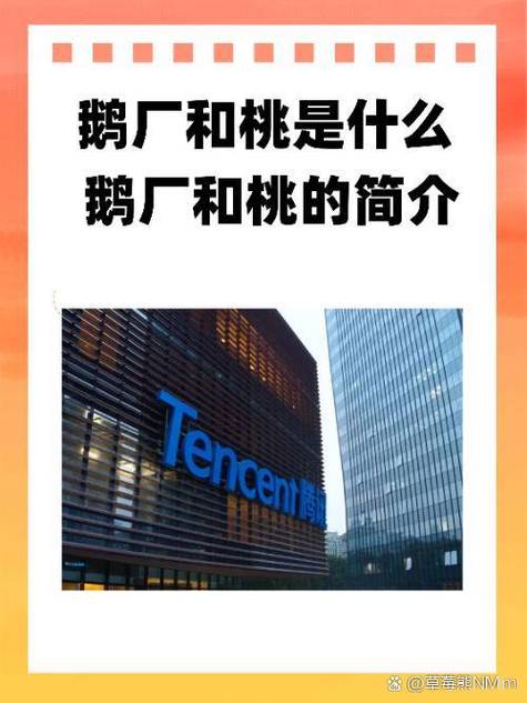 企鹅老板个人简历