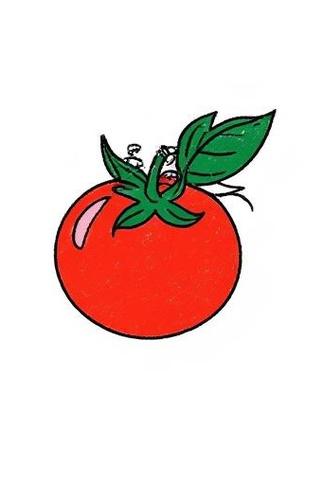 画和平小番茄Q版
