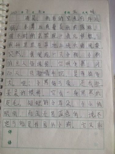 qq日记