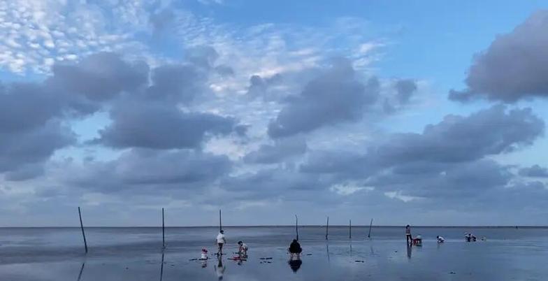 明天射阳几点可以赶海