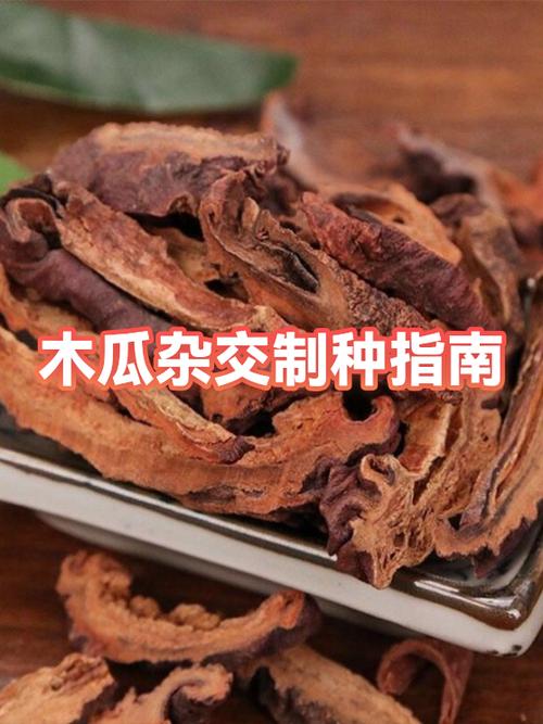 农业工艺杂交