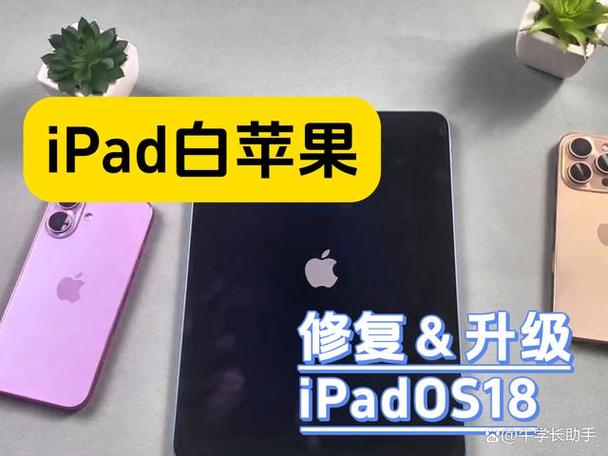 ipad开机白苹果亮了又灭