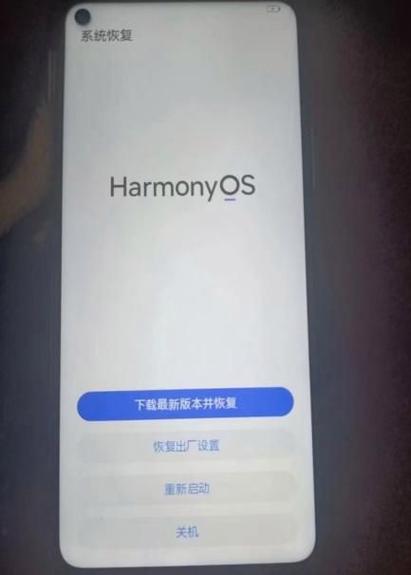 手机丢失能远程格式化吗