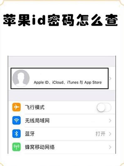 苹果id密码在哪里查看