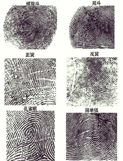 指甲盖有少量紫色竖纹
