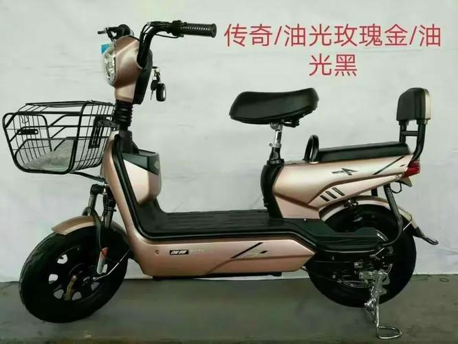 中国飞鸽电动车图标