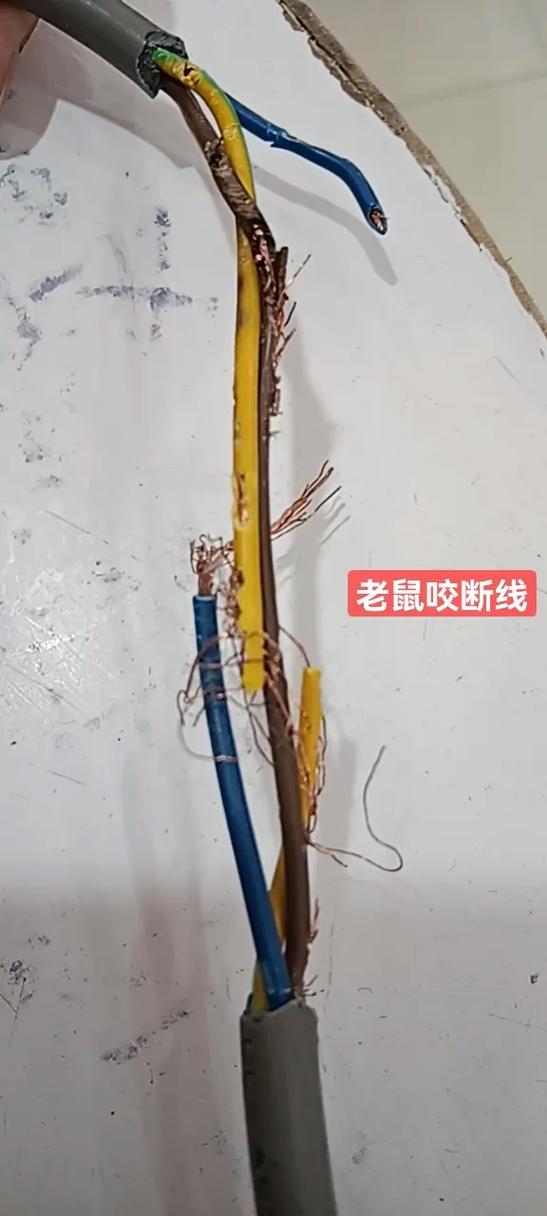 电线被老鼠咬破怎么修