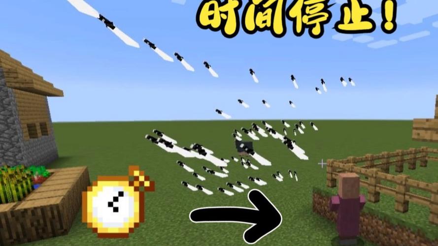 时间暂停我的世界月饼