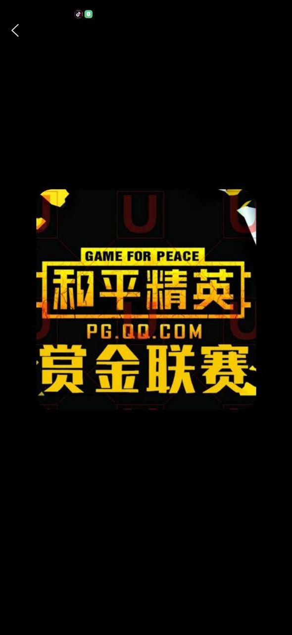 赏金赛和平精英下载