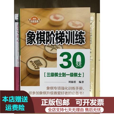 象棋棋士三级什么级别