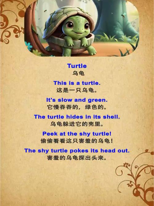 小乌龟学美语全集