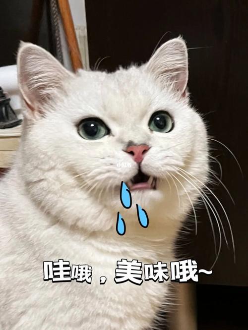 淌口水表情包gif