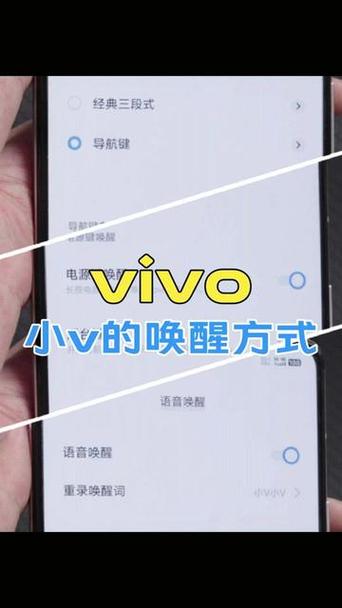 vivo手持弹幕功能设置