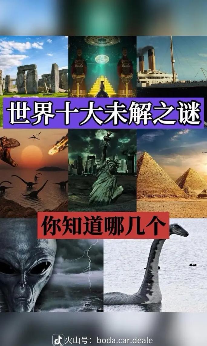普罗旺斯是六个叶还是五个叶