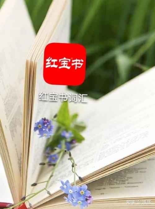 红宝书app的序列号可以用几次