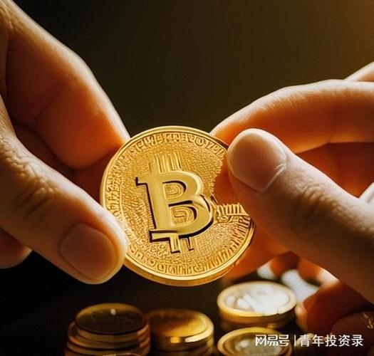 比特币的故事