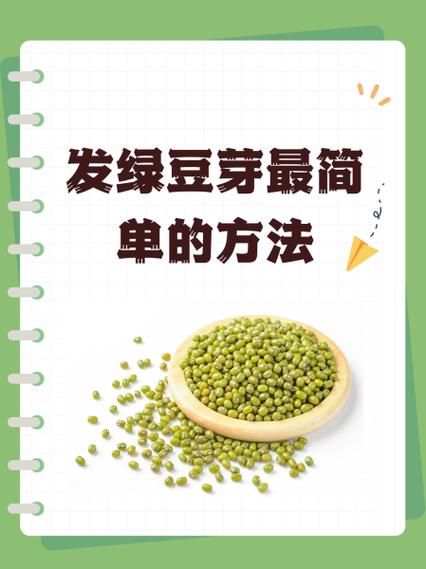 家里发绿豆芽的方法